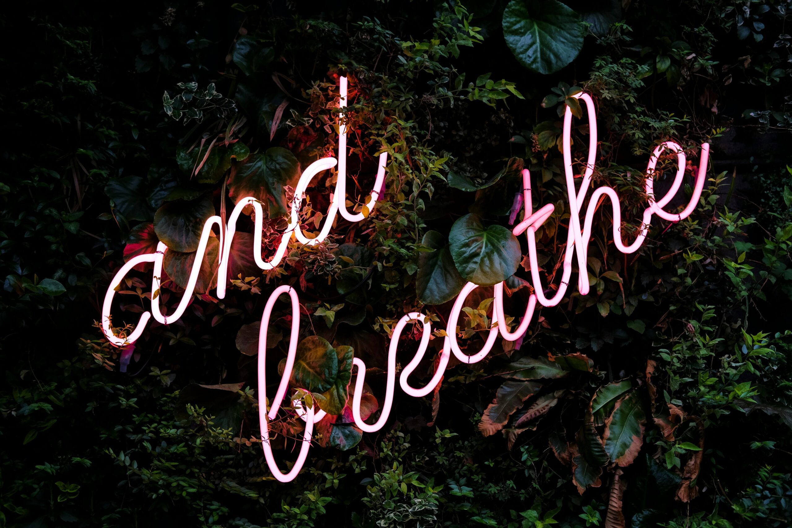 Neon "and breath" sign on leafy green backdrop.